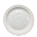 Prato Plástico Descartável 26cm Branco Raso - 250 Unidades