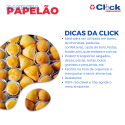 Bandeja Papelão Branco N.23 Salgados Doces 20.5x24.5 - 100 Unidades
